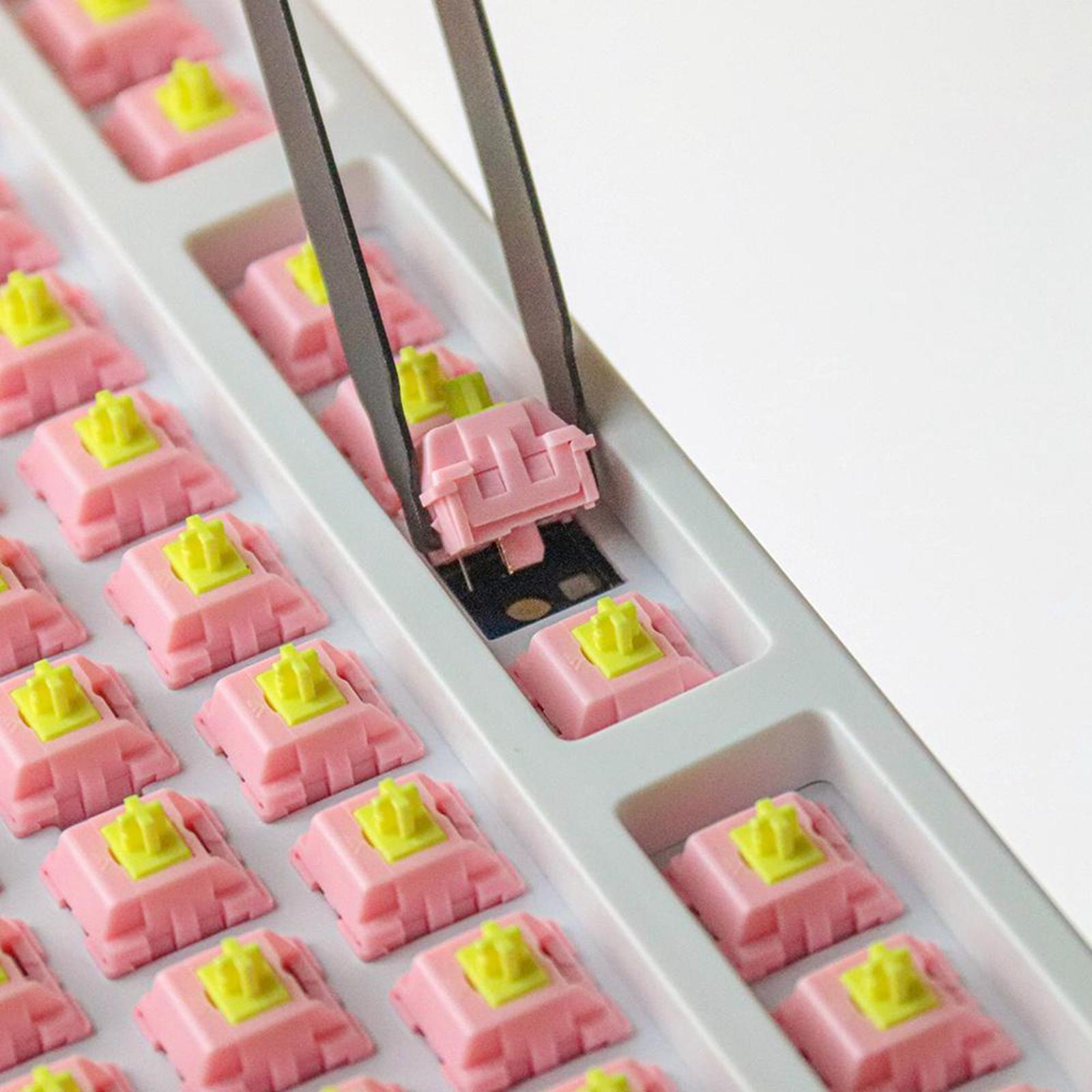 Kit de herramientas de cepillo - Keyboard Lube Kit reseña y precio